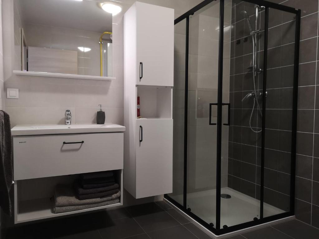 Koupelna v ubytování Apartma Elton