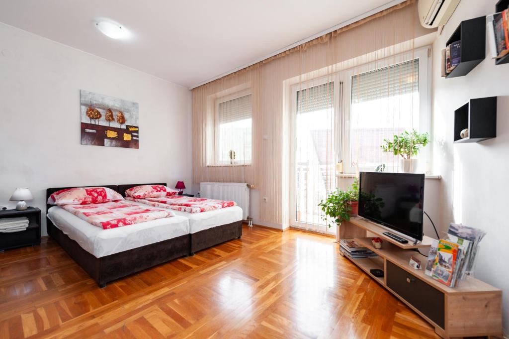 um quarto com uma cama e uma televisão de ecrã plano em Momo's studio apartment Subotica em Subotica