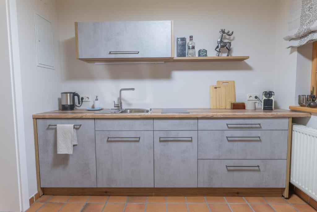 Kuchyň nebo kuchyňský kout v ubytování Modernes Apartment in altem Bauernhaus