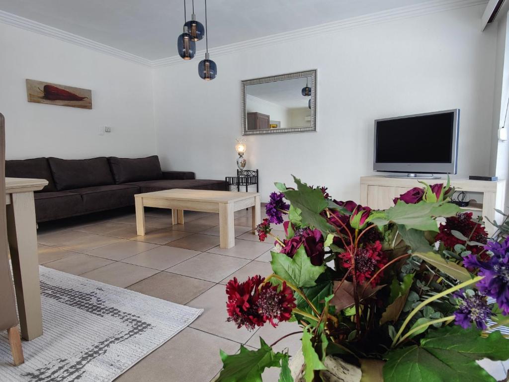ein Wohnzimmer mit einem Sofa, einem TV und Blumen in der Unterkunft Sluizen aan de Jeker in Tongeren
