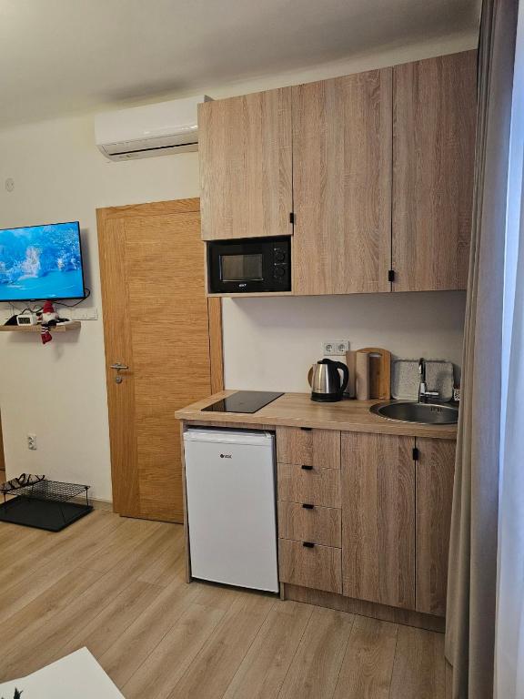 Kuchyň nebo kuchyňský kout v ubytování Studio DIVNA Sarajevo