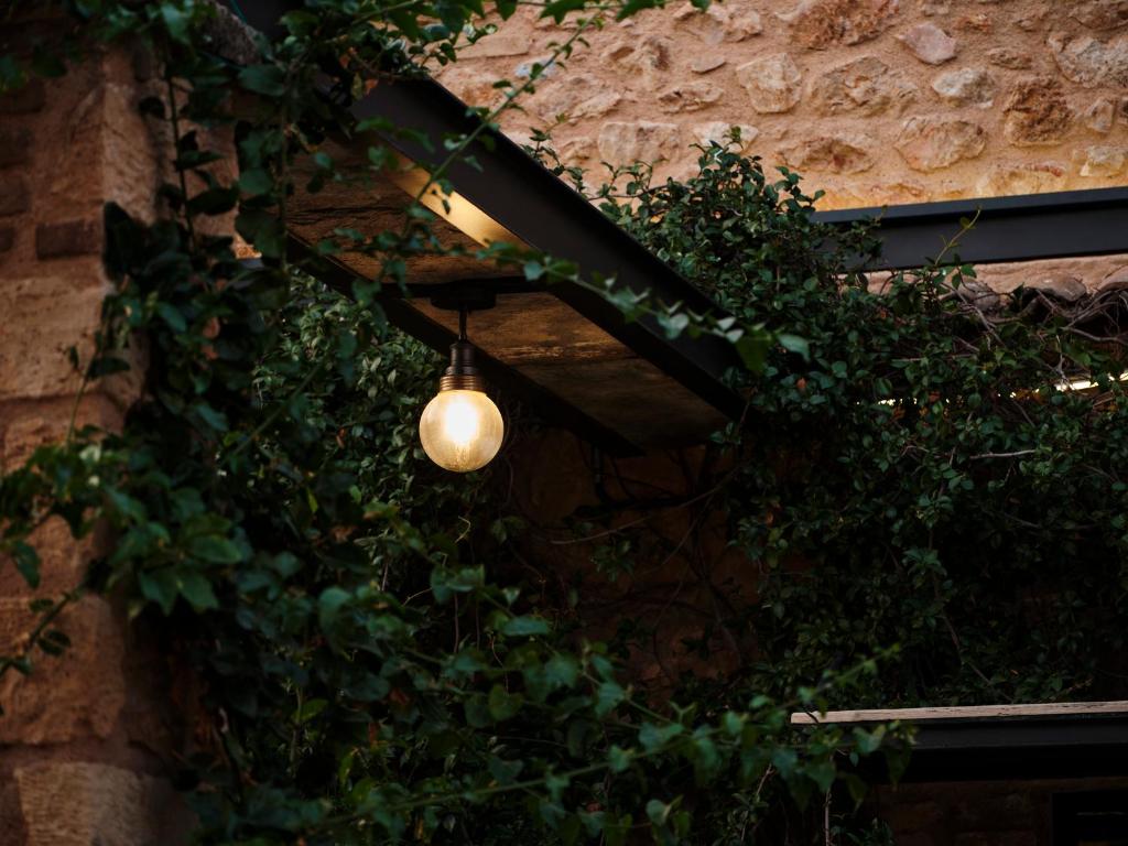 Not Boutique Hotel - Resim 31