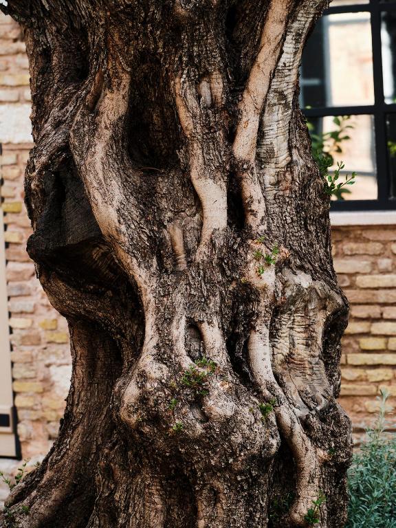 Not Boutique Hotel - Resim 37