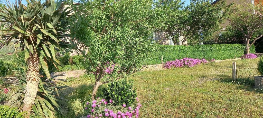 Vonkajšia záhrada v ubytovaní Holiday home in Cesarica 17117