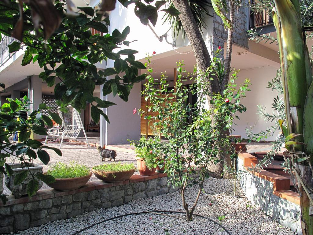 un gatto in piedi di fronte a un edificio con piante di la casa di Emilia a Nocera Inferiore