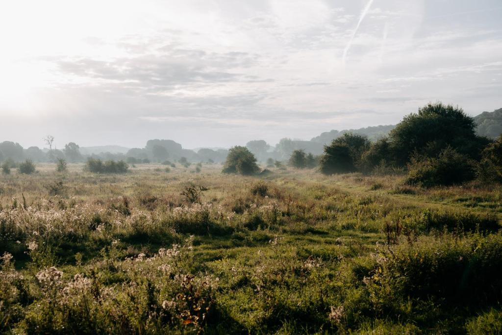Château St Gerlach - Oostwegel Collection, member of Relais and Châteaux - Resim 33
