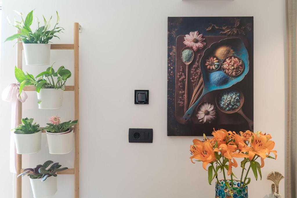 Fotografie z fotogalerie ubytování Apartments Alex v Dubrovníku