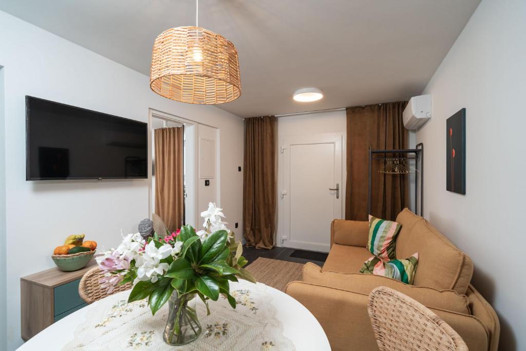 TV a/nebo společenská místnost v ubytování Apartments Alex