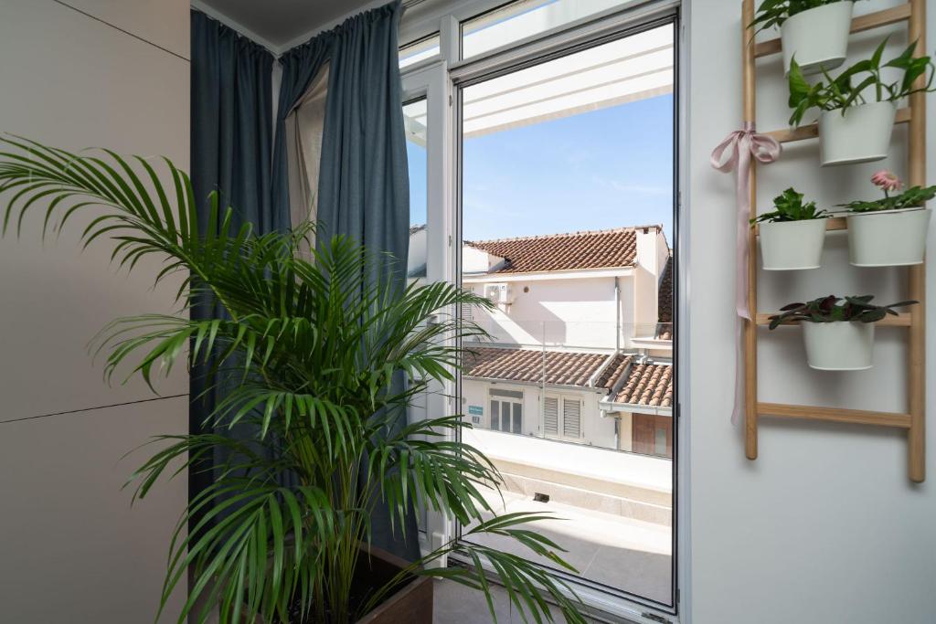 Balkón nebo terasa v ubytování Apartments Alex