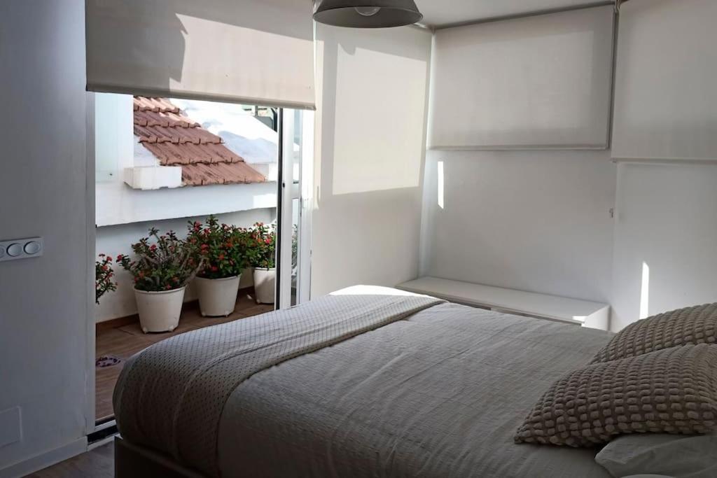 1 dormitorio con 1 cama y macetas en una habitación en Salitre Málaga Center en Málaga