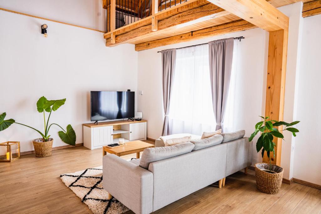 TV a/nebo společenská místnost v ubytování Pri stari mami