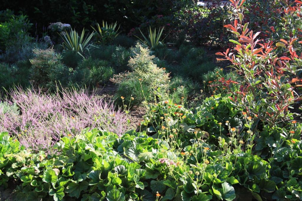 un jardín con muchos tipos diferentes de plantas en Biedermeier, en Born