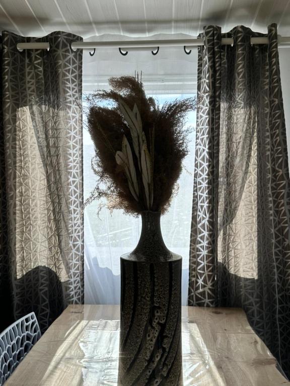les bungalows de Lisa Maria - Bungalow Mit Drei Schlafzimmern