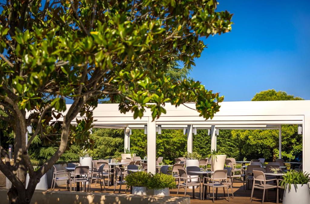 Maistra Camping Polari Pitches - 14