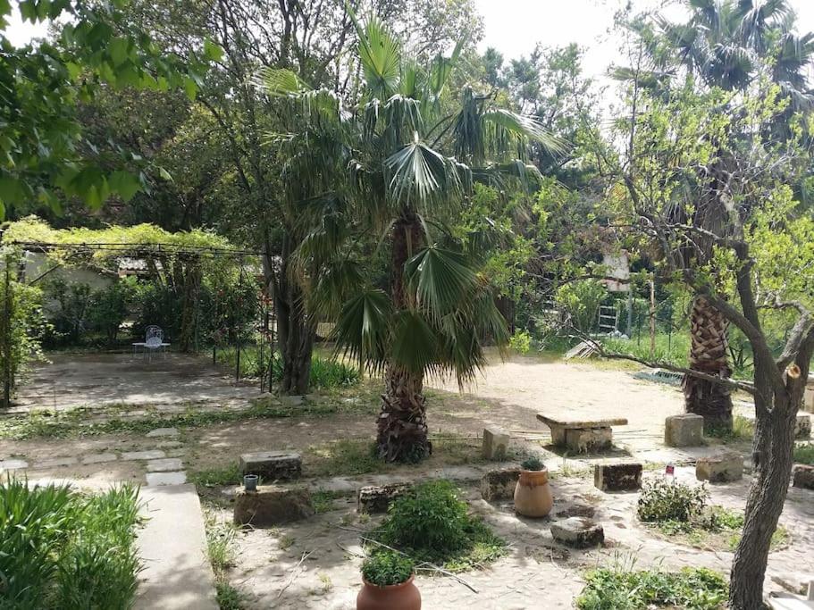 Taman di luar Maison dans un mas le Moulin Piot