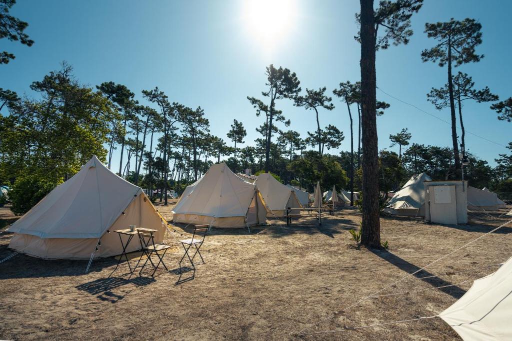 un gruppo di tende in un campo alberato di Kampaoh Mira a Mira