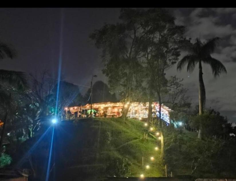 a building with lights at night with palm trees at Picnic el Altico in Caldas