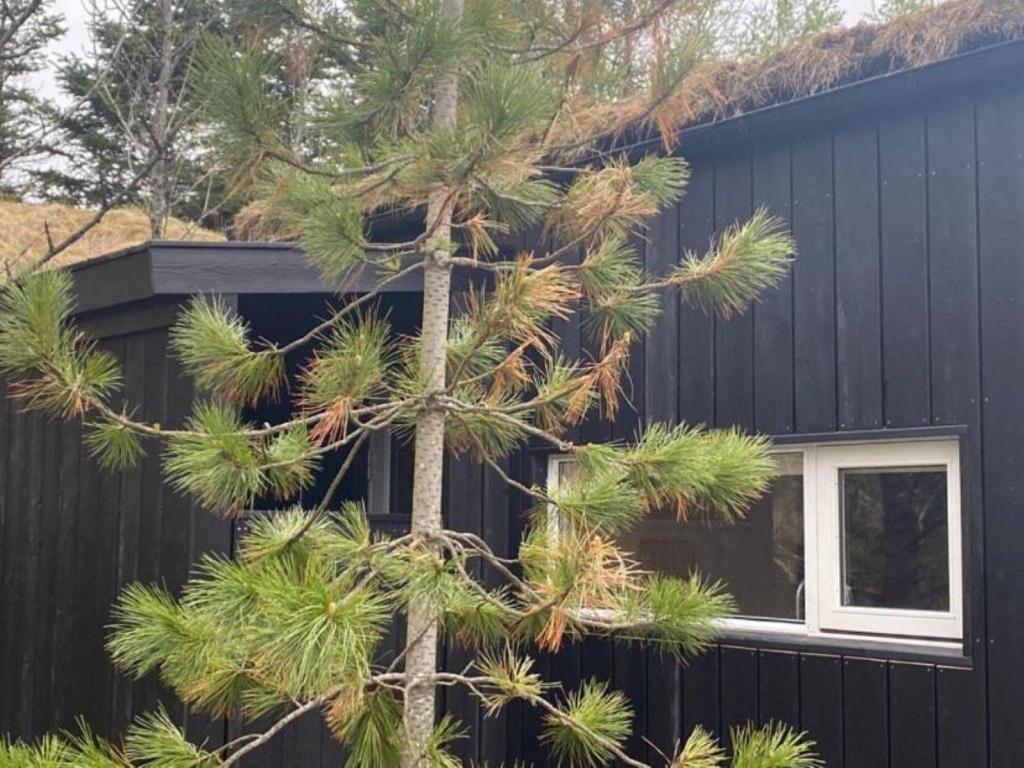 Fotografie z fotogalerie ubytování Audkula Dome Cabin v destinaci Hella