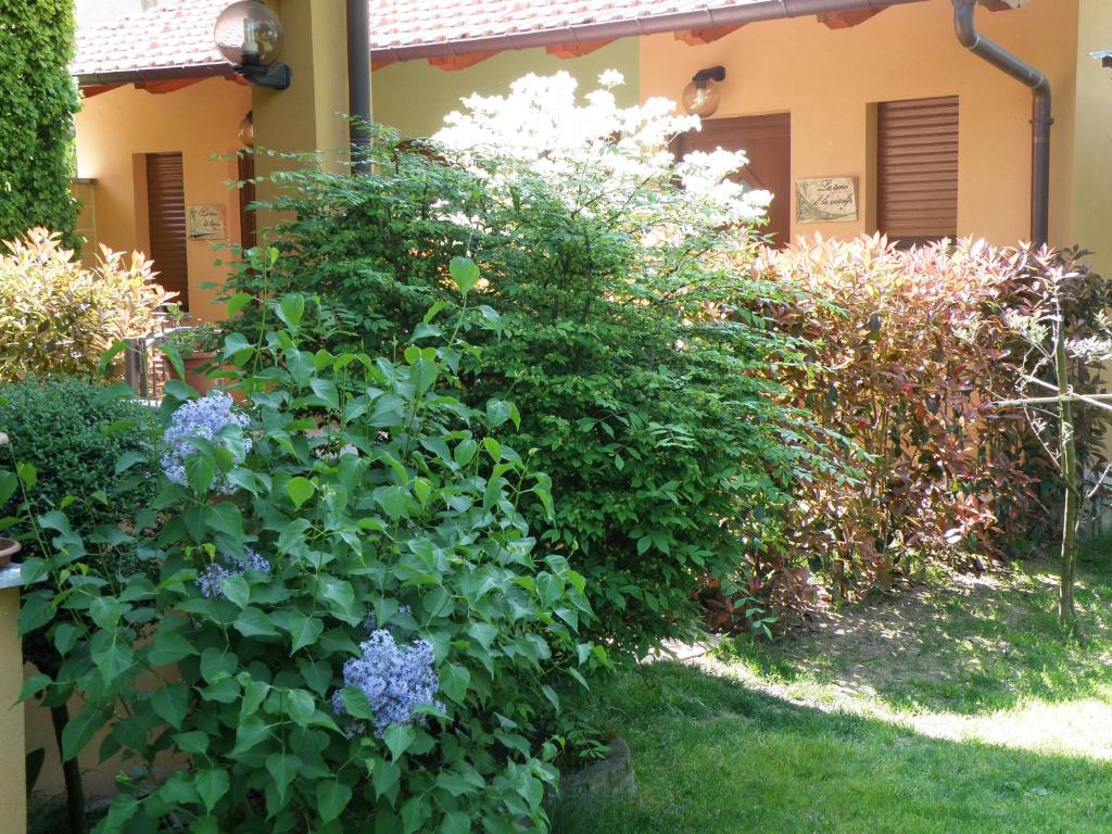 Zahrada ubytování Hotel la Colletta