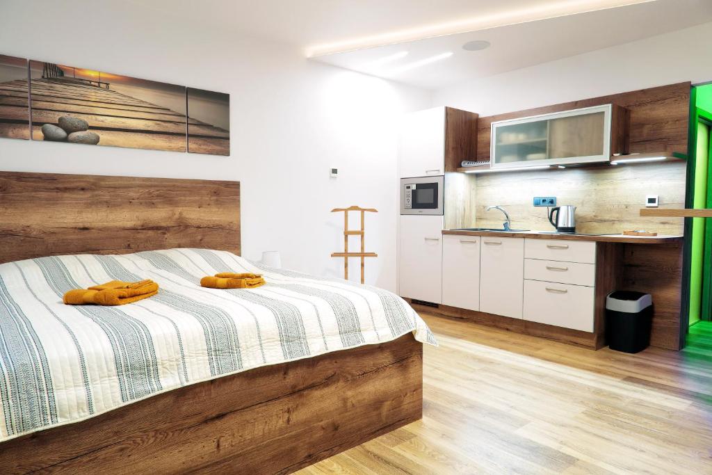 Kuchyň nebo kuchyňský kout v ubytování Lanškroun apartmány v centru