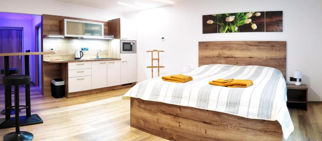 Kuchyň nebo kuchyňský kout v ubytování Lanškroun apartmány v centru