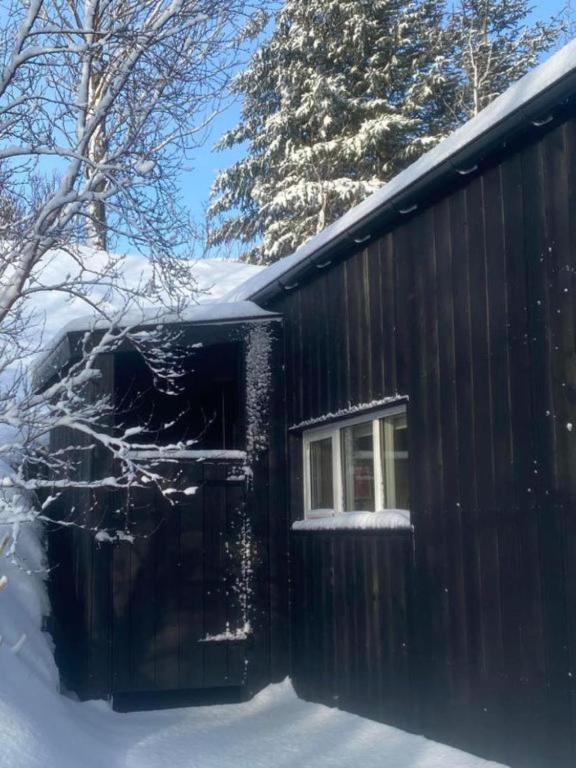 Audkula Dome Cabin v zimě