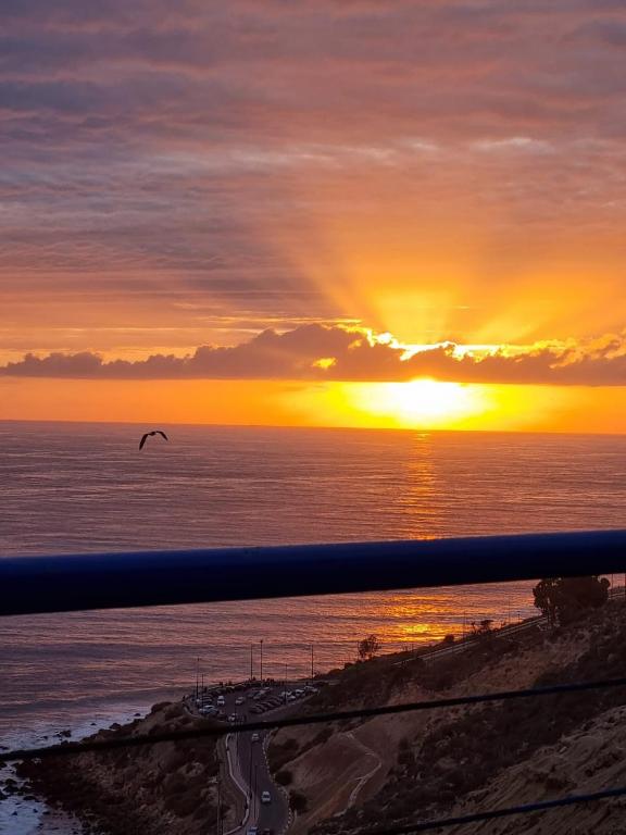 a bird flying over the ocean at sunset at Riad Ras Lafaa in Safi