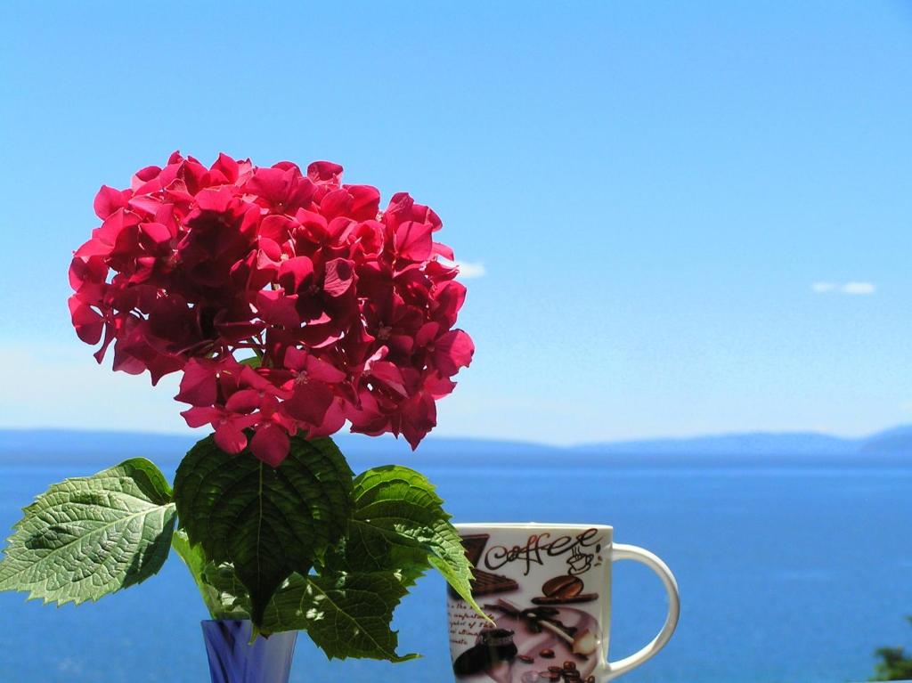 un vase avec des fleurs rouges et une tasse de café dans l'établissement Guest House Lifestyle Holiday, à Opatija