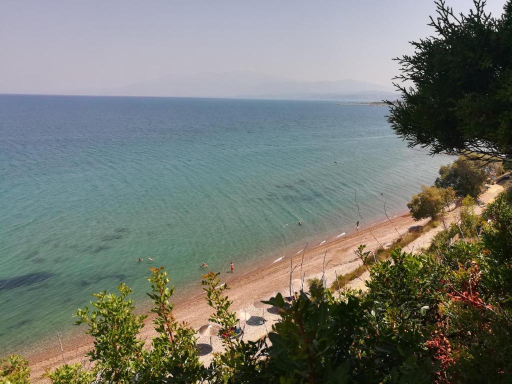 a view of a beach with people in the water at Koralli Sea View Hotel in Kato Achaia