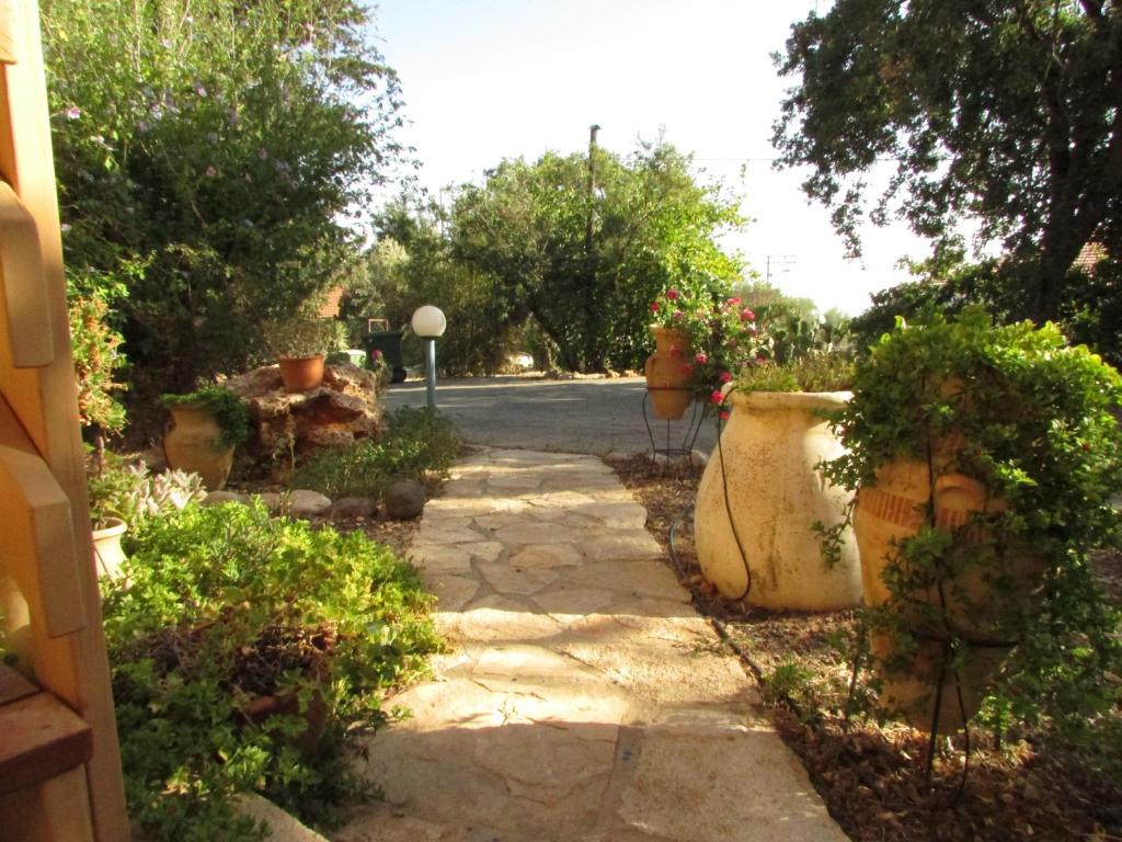 Zahrada ubytování Aviv - Bakfar in Amirim