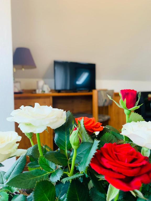 TV a/nebo společenská místnost v ubytování Hotel Garni