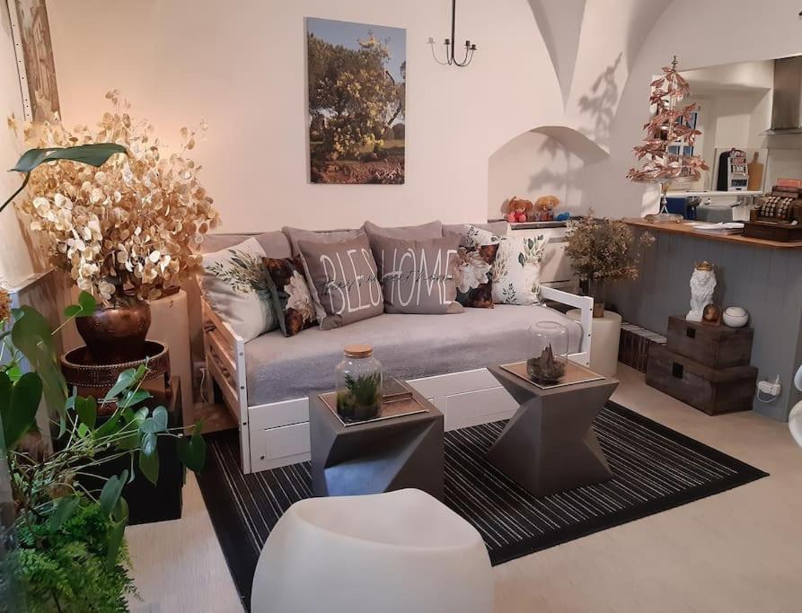 uma sala de estar com um sofá e muitas plantas em un petit nid douillet em Beauchastel