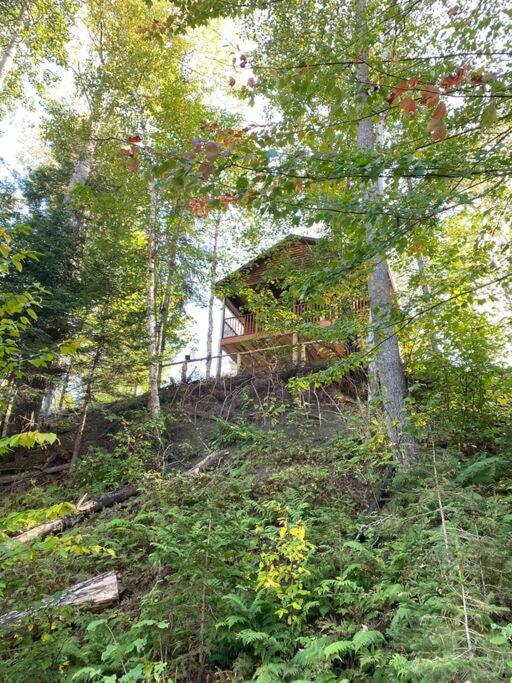 Zahrada ubytování chalet Ani
