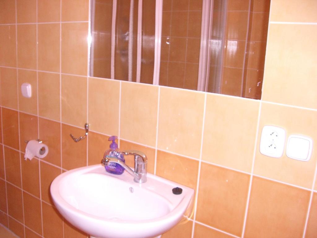Koupelna v ubytování Apartmany Kanianka
