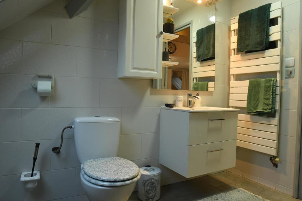 Koupelna v ubytování DUPLEX SPACIEUX TOUT CONFORT