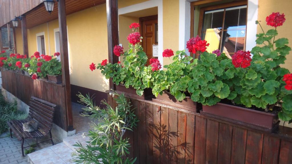 Zahrada ubytování Apartmany Kanianka