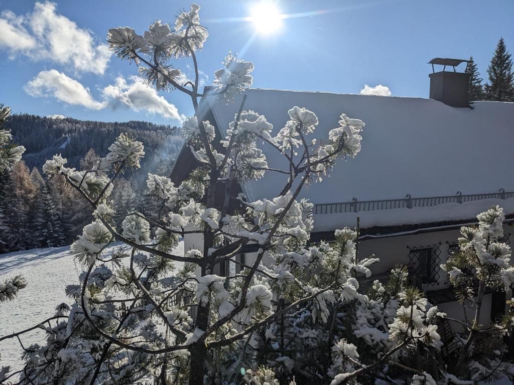 a tree covered in snow next to a building at LaLo Alm - Berge erleben in Lachtal