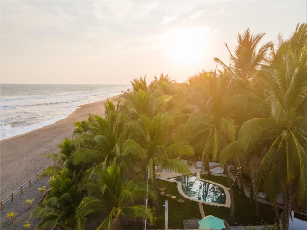 widok na plażę z palmami i ocean w obiekcie Pacifica w mieście Sipacate