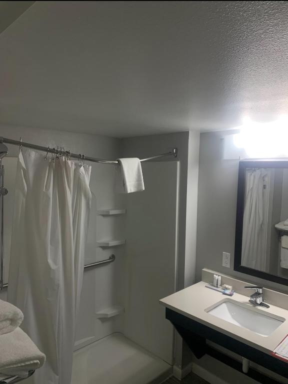 a bathroom with a shower and a sink and a mirror at Wingate by Wyndham - Chattanooga in Chattanooga