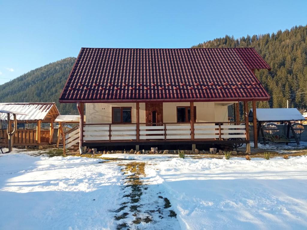 ein Haus mit rotem Dach im Schnee in der Unterkunft На Березові in Krivorovnya