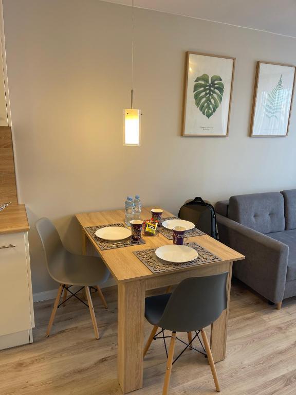 Mieszkanie w centrum z oddzielną sypialnią - 10