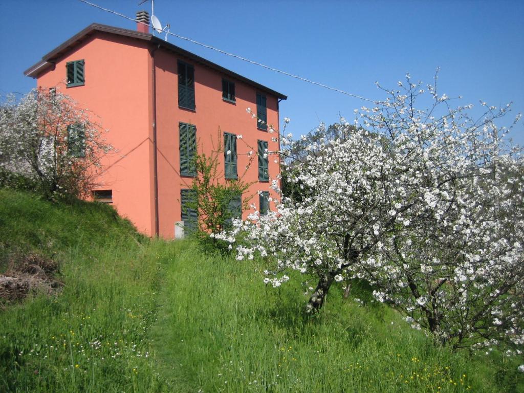 een gebouw op een heuvel met een bloeiende boom ervoor bij Agriturismo Casalino in Beverino