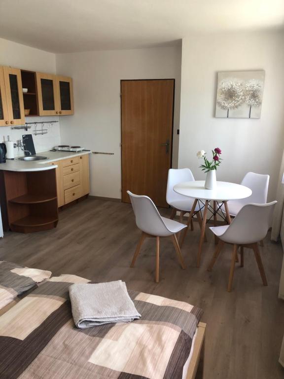 Kuchyň nebo kuchyňský kout v ubytování Apartmán PodFaustinkou