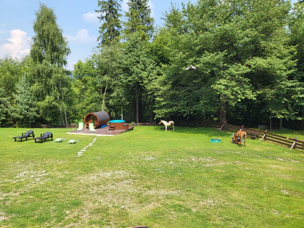 Vonkajšia záhrada v ubytovaní Apartament Buczyna