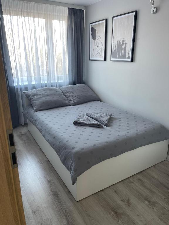 Mieszkanie w centrum z oddzielną sypialnią - 18