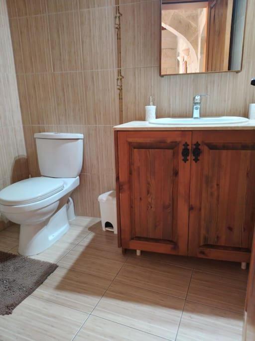 Koupelna v ubytování Geligiz Farmhouse