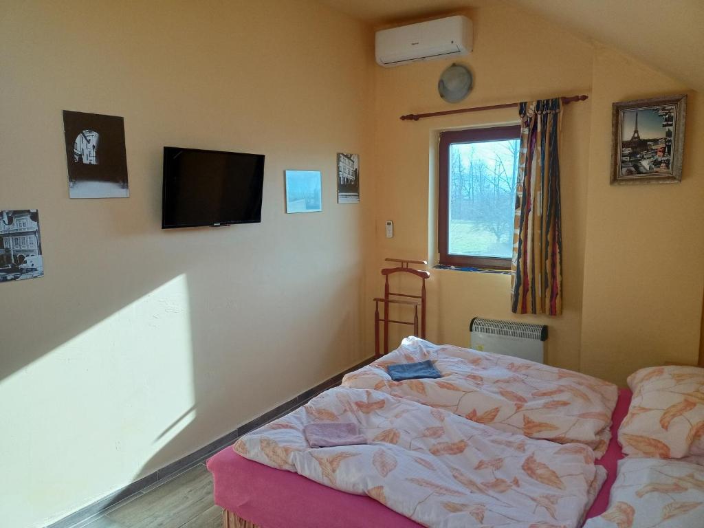 Penzion U strhaného klempíře - Double Room