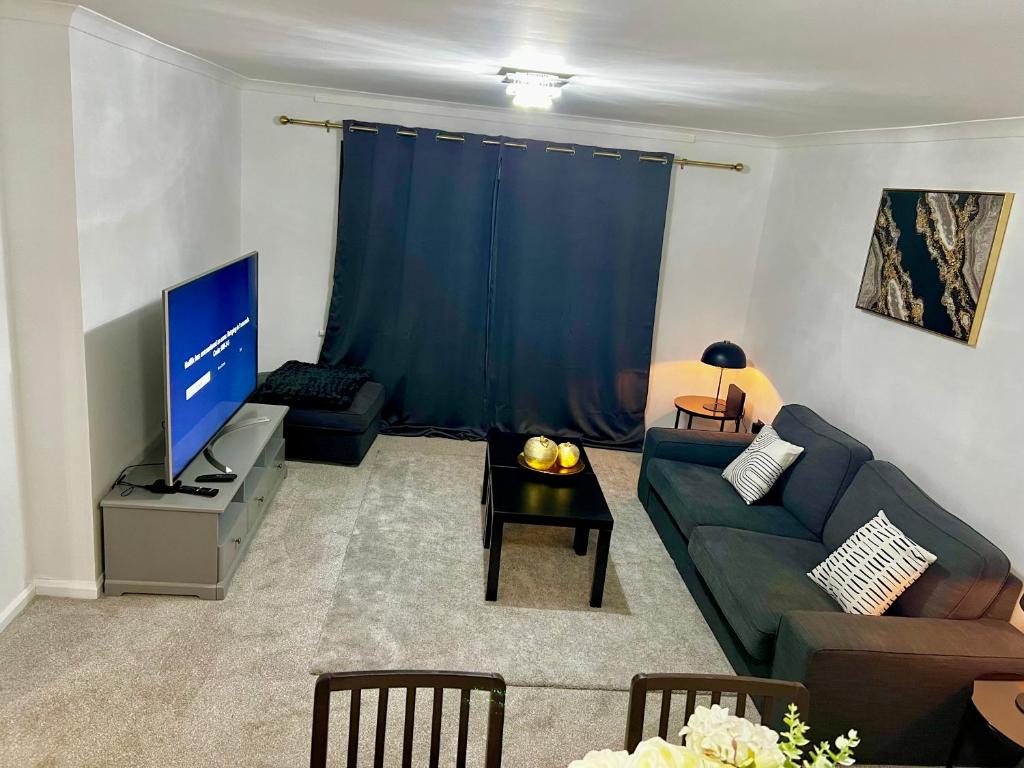 a living room with a blue couch and a television at Swanmore in Derby