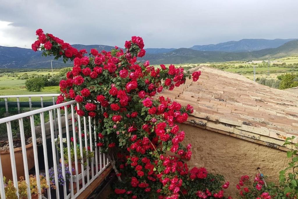 un montón de flores rojas creciendo en una valla en One bedroom chalet with shared pool terrace and wifi at Sieso de Huesca, en Sieso de Huesca