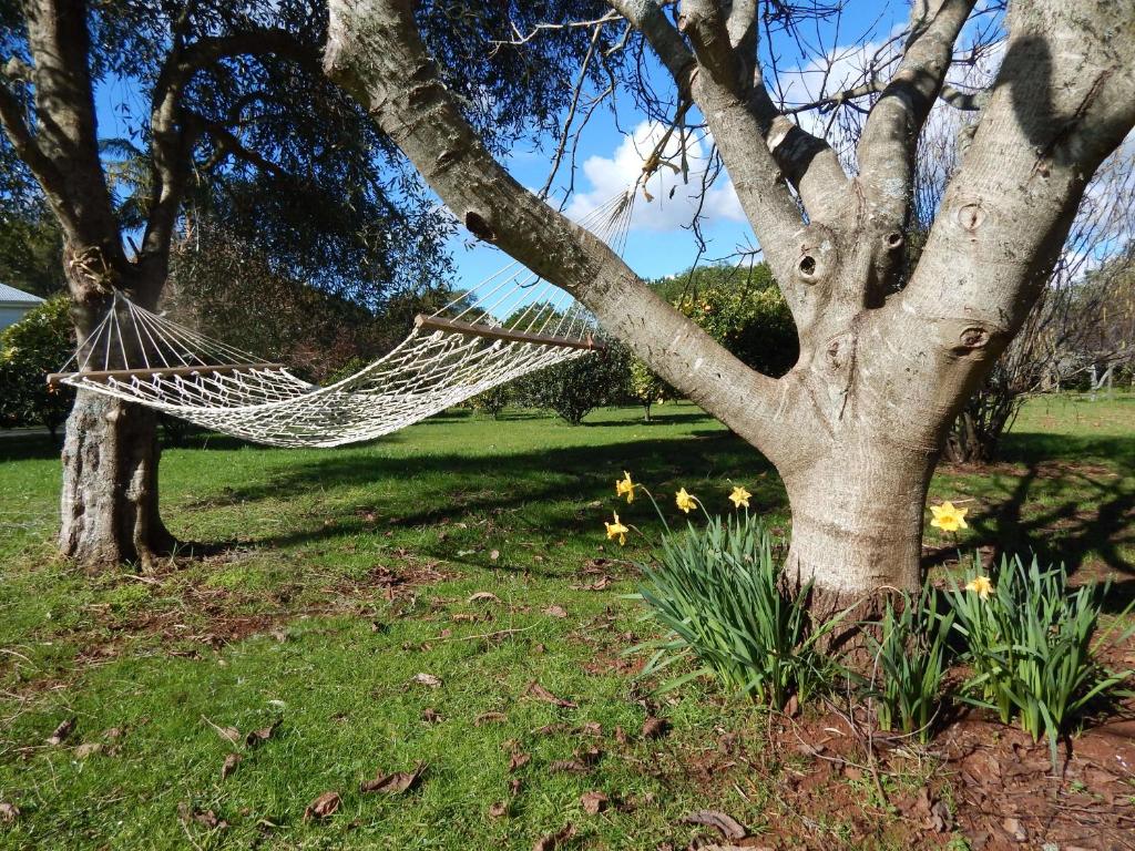 Lupton Lodge - Resim 27